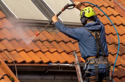 Démoussage et hydrofuge de toiture à Rapsécourt